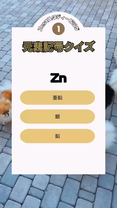 画像265